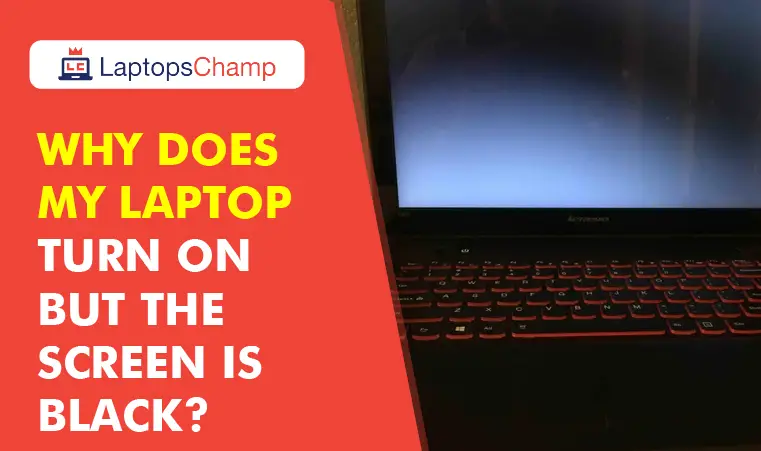 Why Does My Laptop Turn On But The Screen Is Black? | You Should Have ...