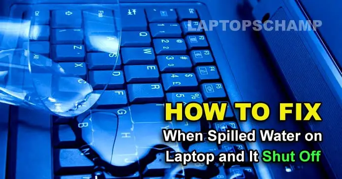 Spilled Water on Laptop and It Shut Off
